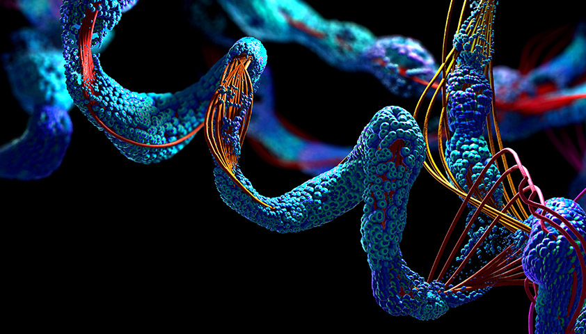 как повысить общий белок