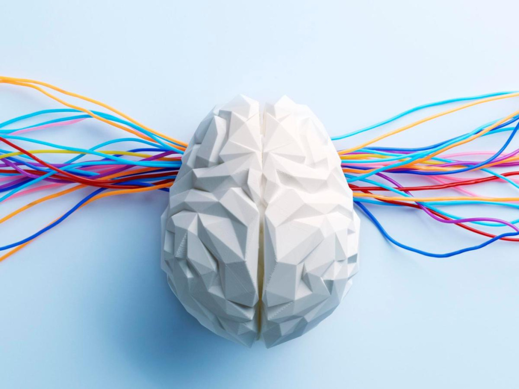 brain-1.jpg brain-1.jpg