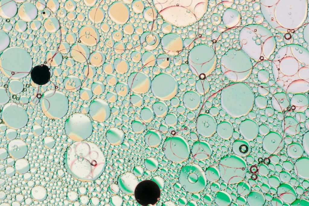 2148227060 (1).jpg 2148227060 (1).jpg